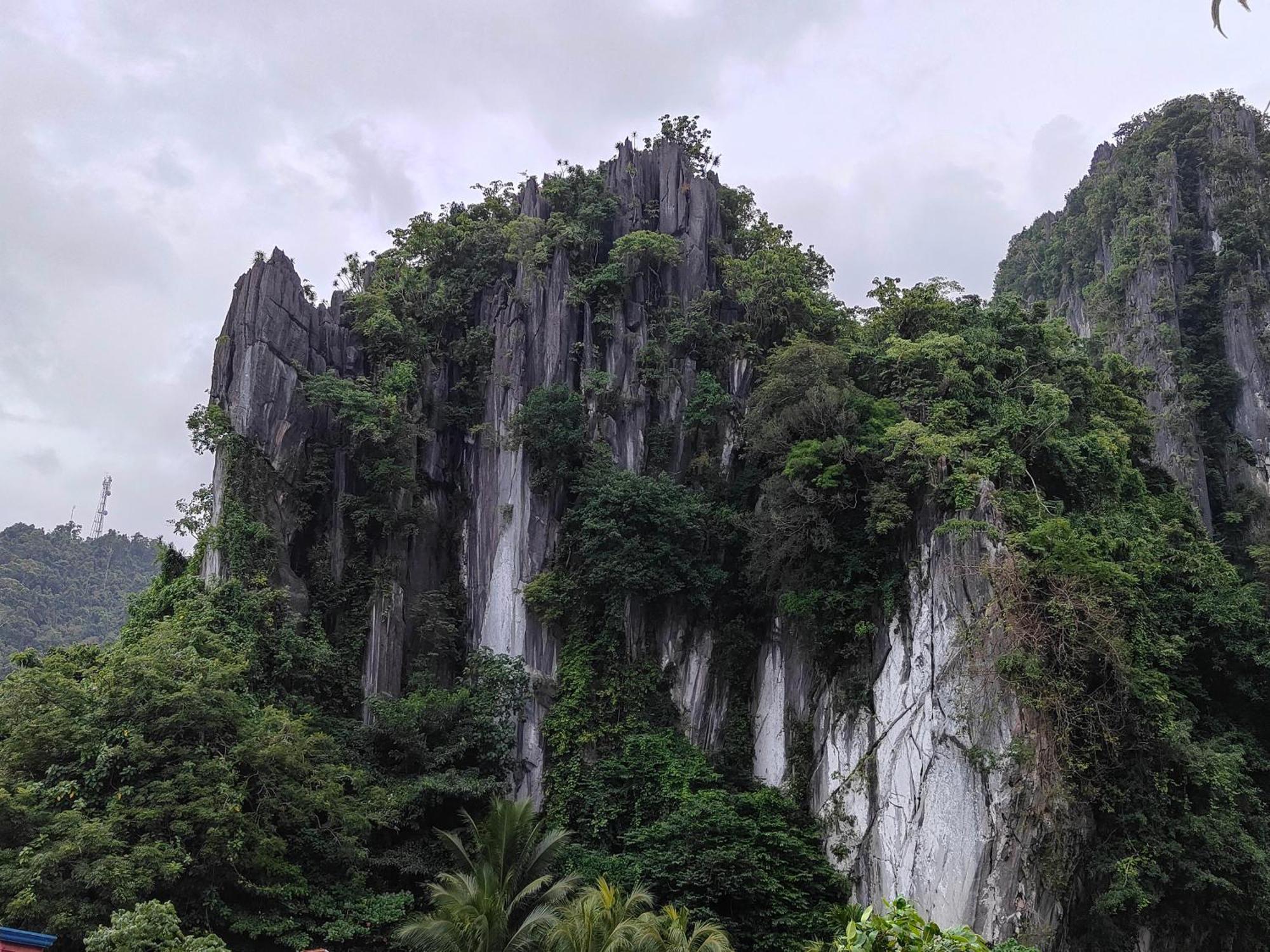 Alocasia Hostel El Nido Ngoại thất bức ảnh